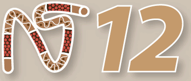NT12 Logo