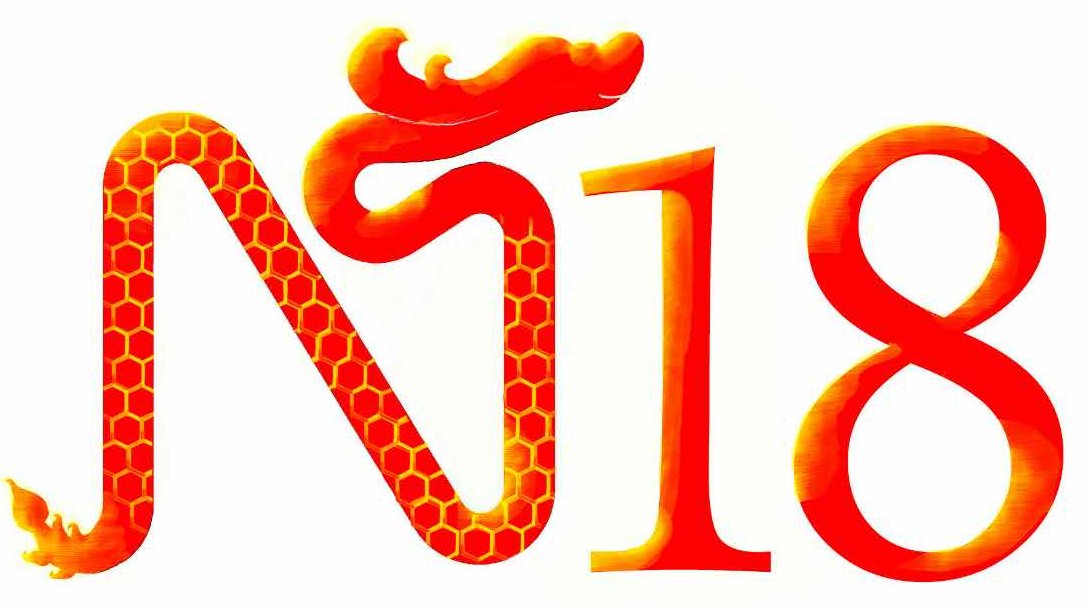 NT18 Logo